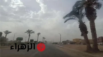 طقس الجمعة بمصر.. تحذير من شبورة كثيفة وبرودة شديدة تضرب المحافظات